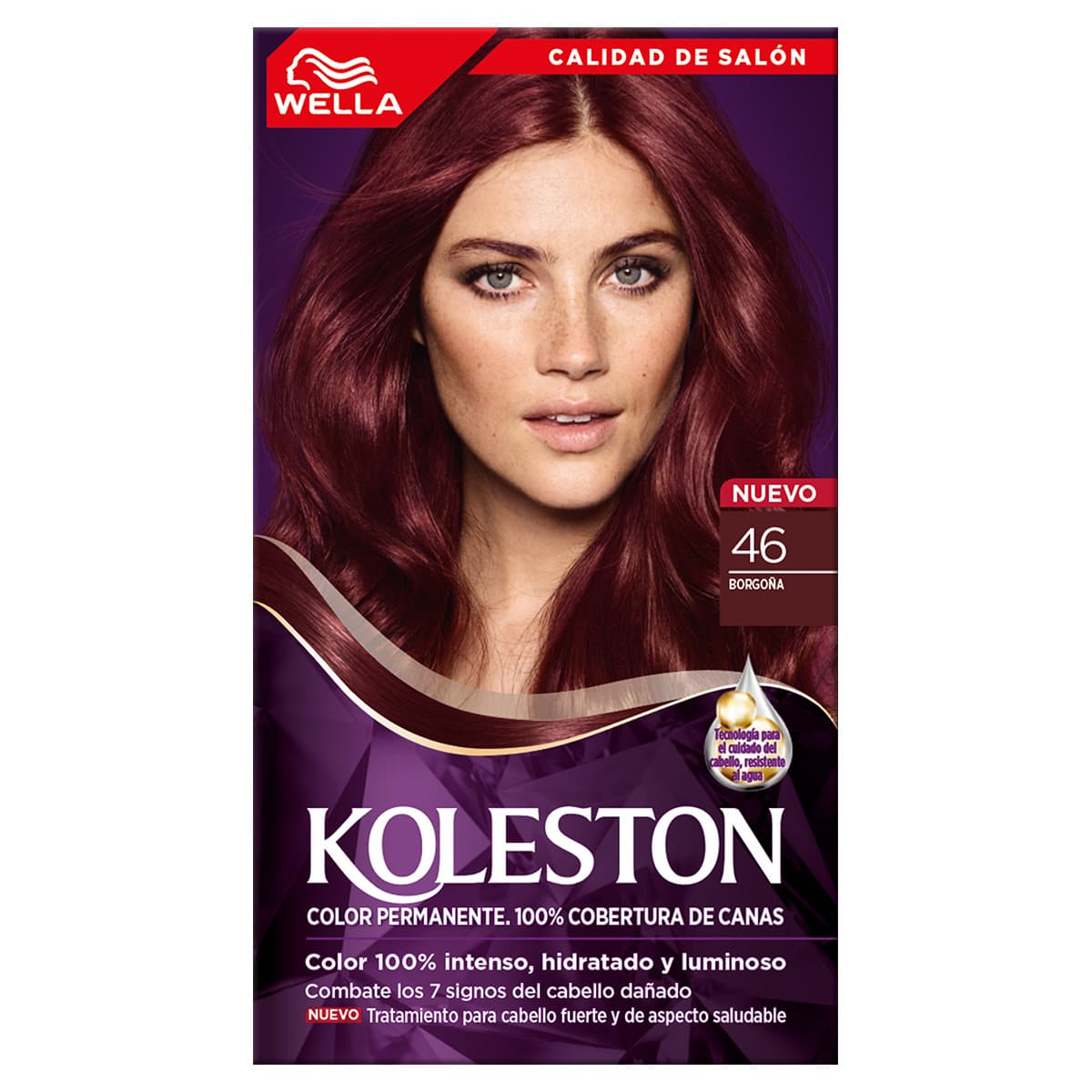 Tinte Koleston 46 Borgoña